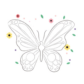 蝴蝶线稿 