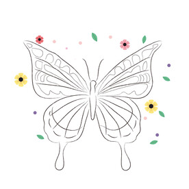 蝴蝶线稿 