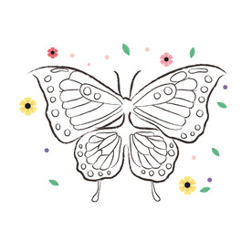 蝴蝶线稿 