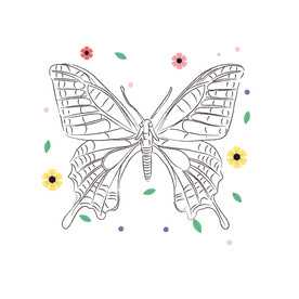 蝴蝶线稿 