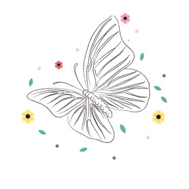 蝴蝶线稿 