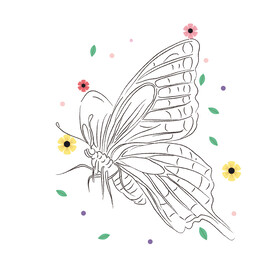 蝴蝶线稿 