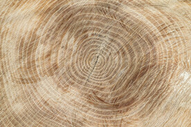 木纹背景