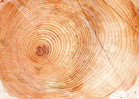 木板木材木纹背景