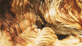 木板木材木纹背景