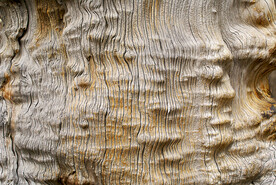 木板木材木纹背景