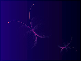 线条蝴蝶橙粉色渐变