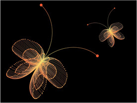 线条蝴蝶橘黄渐变