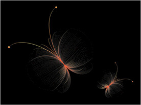 线条炫光蝴蝶橘色渐变