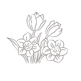 花卉黑白线稿   