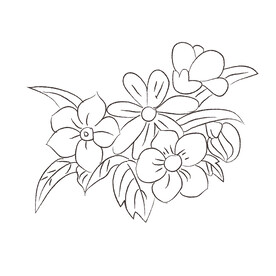 花卉黑白线稿