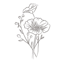 花卉黑白线稿