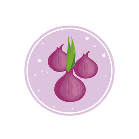 洋葱插画 