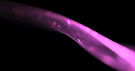 梦幻光束晚会粒子舞台背景