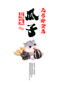 瓜子干货食品KT板