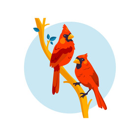 红色小鸟插画 