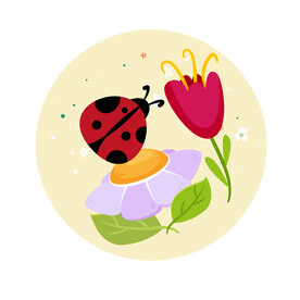 七星飘虫矢量昆虫 