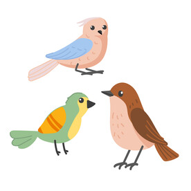 小鸟插画 