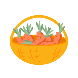 胡萝卜插画
