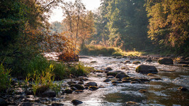 风景优美的小溪