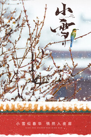 小雪海报