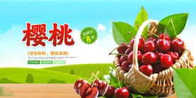 樱桃展板