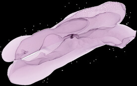 抽象水彩墨韵肌理纹理背景