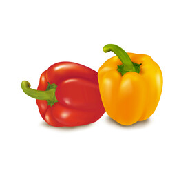 灯笼椒  五彩圆椒