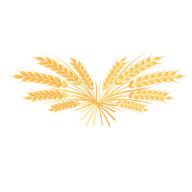麦穗插画  