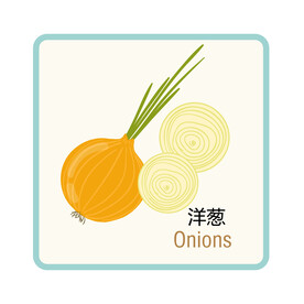 洋葱  