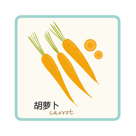 胡萝卜中英文卡片