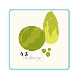 白菜中英文卡片