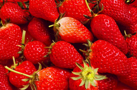 草莓静物细节摄影