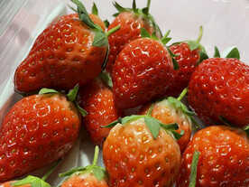 草莓静物细节摄影