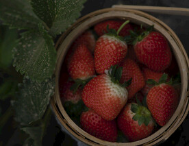 草莓静物细节摄影