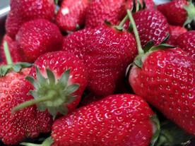 草莓静物细节摄影