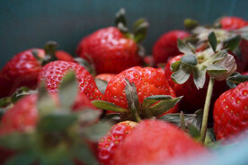 草莓细节特写摄影