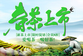 春茶上市全失量分层图可改色