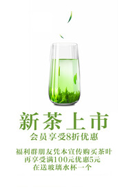 绿茶 新茶上市 