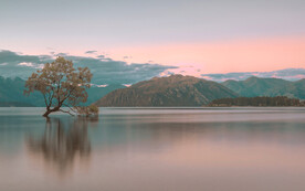 优美的湖边美景