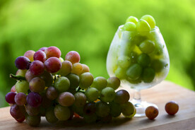 葡萄
