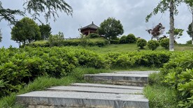 公园风景
