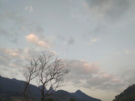 树和天空自然风光