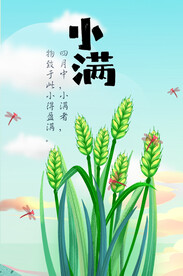 小满节气海报 