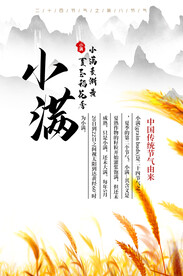 小满节气海报 