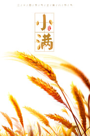 小满节气海报 
