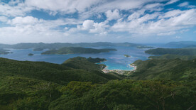 奄美群岛  日本   自然景观