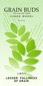 简约风格小满海报