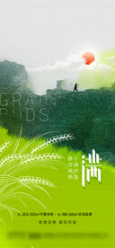 小满节气插画风海报