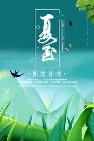  夏至节气海报 